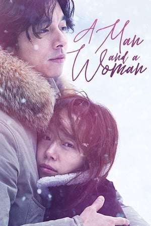 A Man and A Woman (2016) Hindi Dual Audio 720p BluRay [950MB]