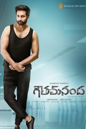 Goutham Nanda (2017) (Hindi – Telugu) Dual Audio UnCut HDRip 720p – 480p